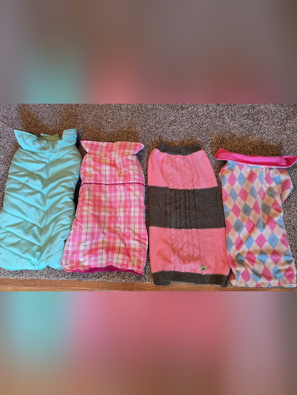 XL dog sweaters and coats
